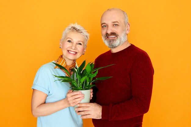 Concepto de amor, familia y relaciones. Imagen de estudio de feliz pareja de mediana edad mujer de pelo corto y hombre barbudo posando en la pared amarilla con maceta, comprando cosas nuevas mientras se mudan juntos