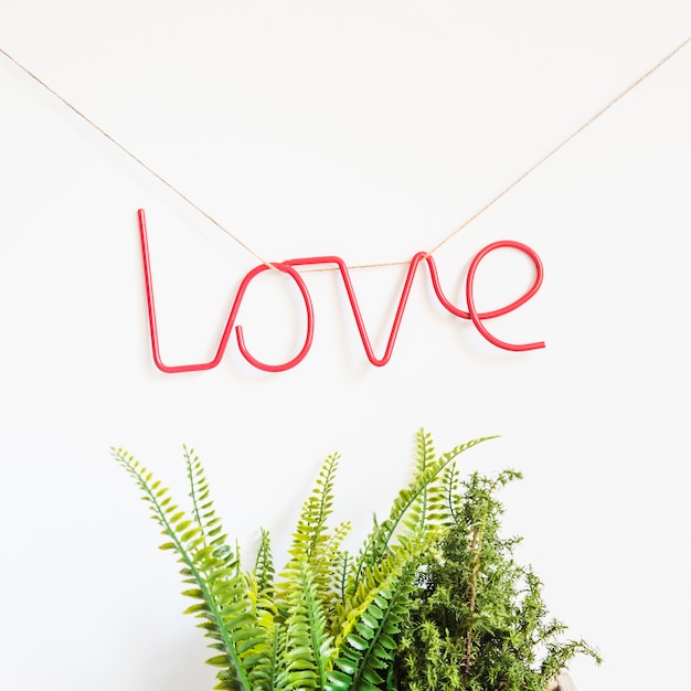 Concepto de amor con plantas