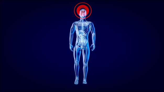 Concepto de anatomía 3D de un hombre de rayos X