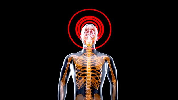Concepto de anatomía 3D de un hombre de rayos X