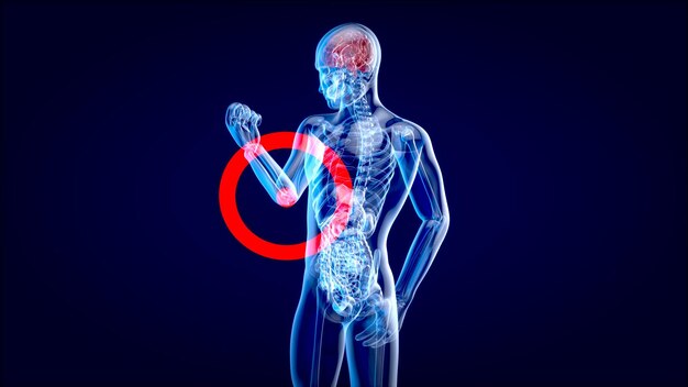 Concepto de anatomía 4K de un dolor de codo