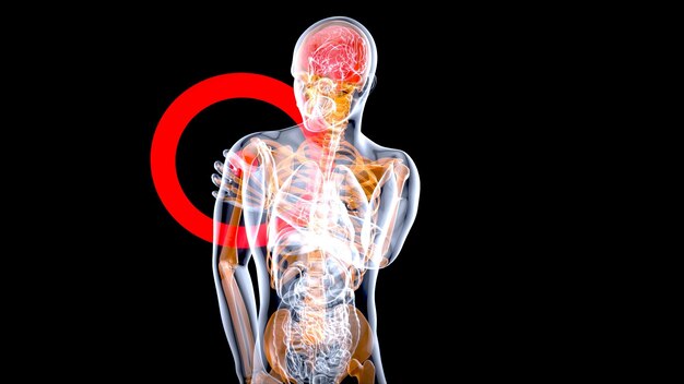 Concepto de anatomía 4K de un dolor de hombro