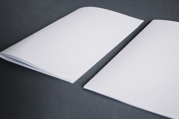 Concepto en blanco de papelería con dos folletos
