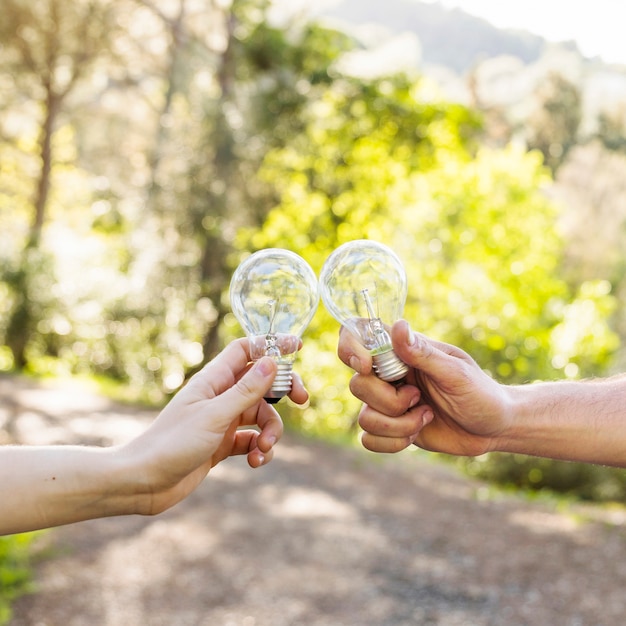 Concepto clinking bombillas en las manos en la naturaleza