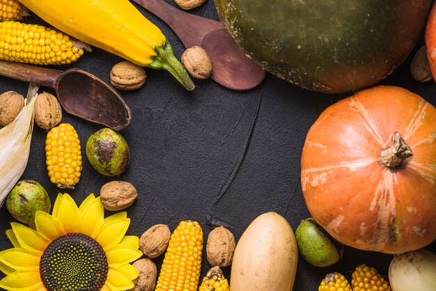 Concepto de comida de otoño con calabaza y espacio en medio