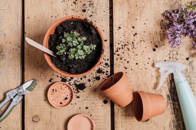 Concepto creativo flat lay de jardinería