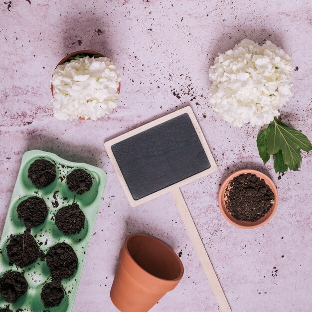 Concepto creativo flat lay de jardinería