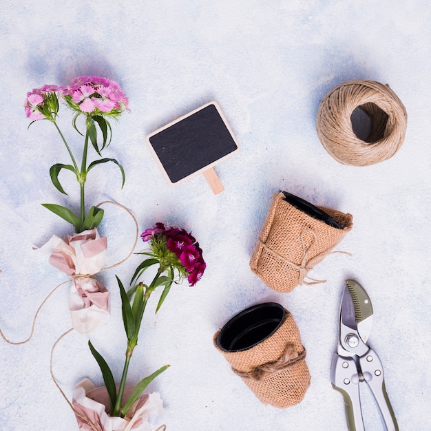 Foto gratuita concepto creativo flat lay de jardinería