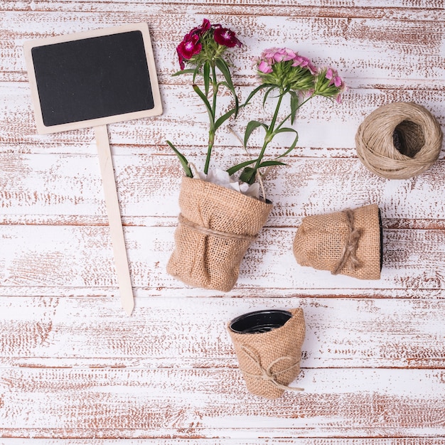 Concepto creativo flat lay de jardinería