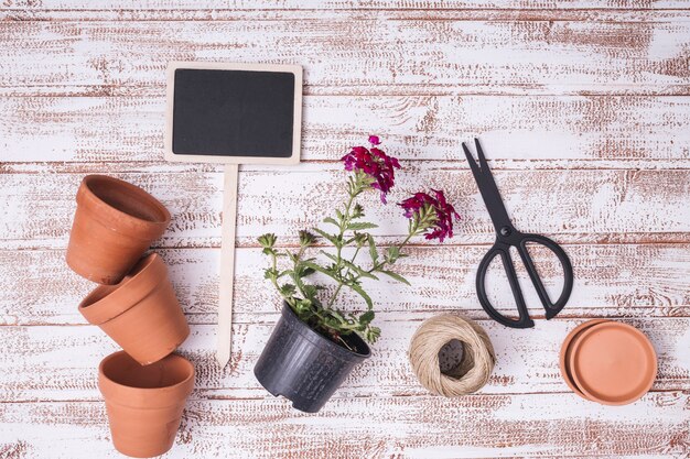 Concepto creativo flat lay de jardinería