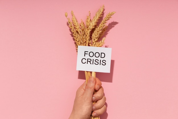 Foto gratuita concepto de crisis alimentaria de vista superior con trigo