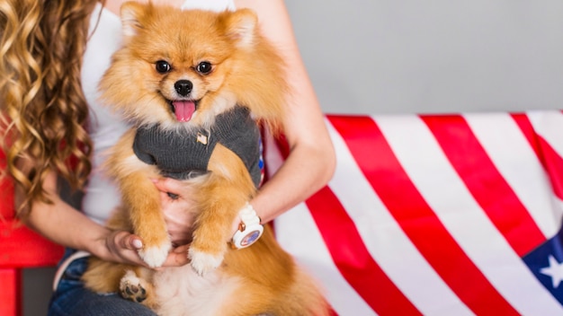 Concepto para el día de la independencia con perro