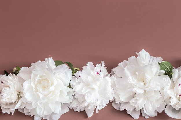 Concepto de diseño: vista superior del ramo de hermosas flores en la pared de color con espacio de copia