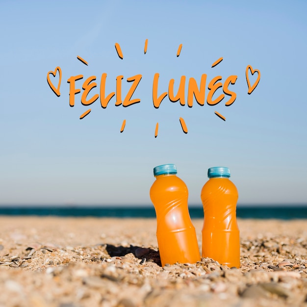 Foto gratuita concepto de feliz lunes con botellas en la playa