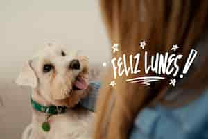 Foto gratuita concepto de feliz lunes con lindo perro