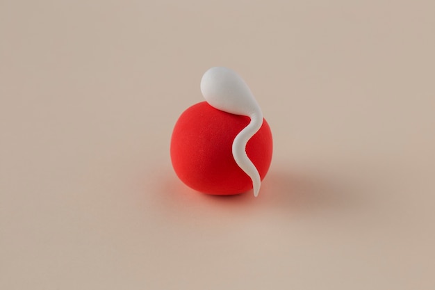 Foto gratuita concepto de fertilidad de espermatozoides y óvulos rojos