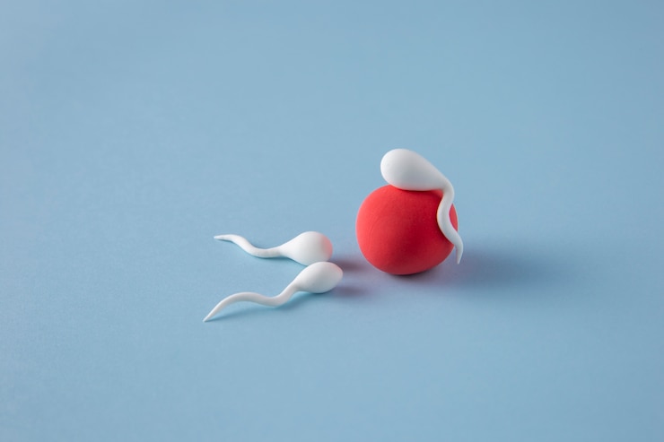 Foto gratuito concepto de fertilidad de naturaleza muerta alto ángulo