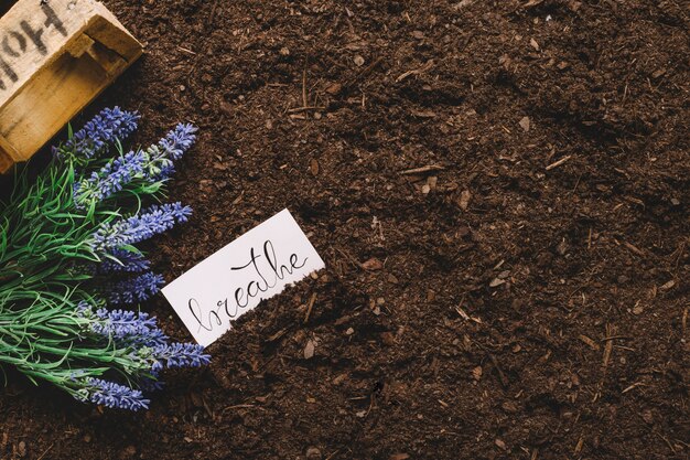 Concepto floral de jardinería