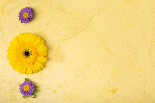 Foto gratuita concepto floral minimalista con espacio de copia