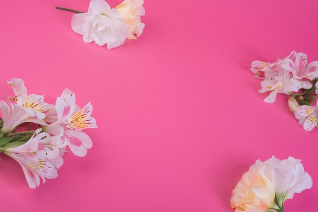 Foto gratuita concepto de flores con estilo elegante