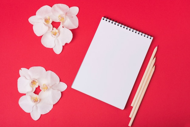 Concepto de flores con libreta moderna