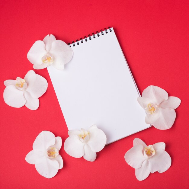 Concepto de flores con libreta moderna