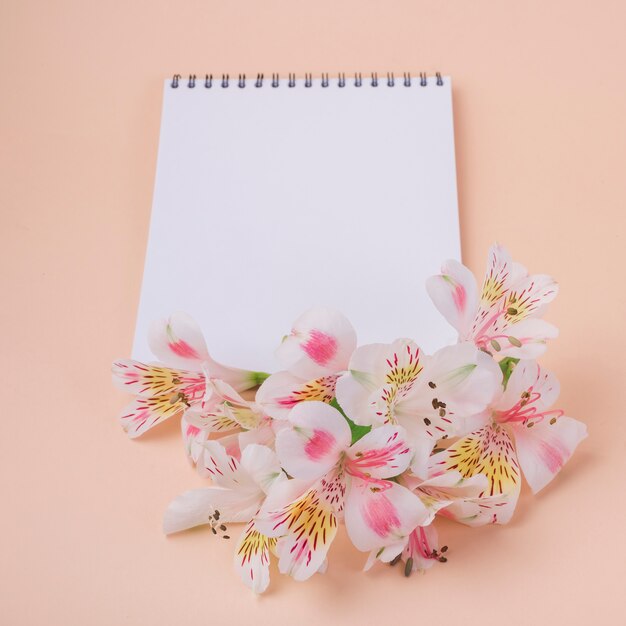 Concepto de flores con libreta moderna