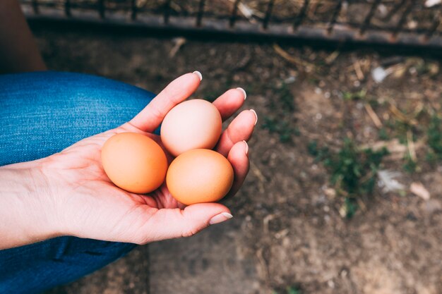 Concepto de granja con mano sujetando huevos