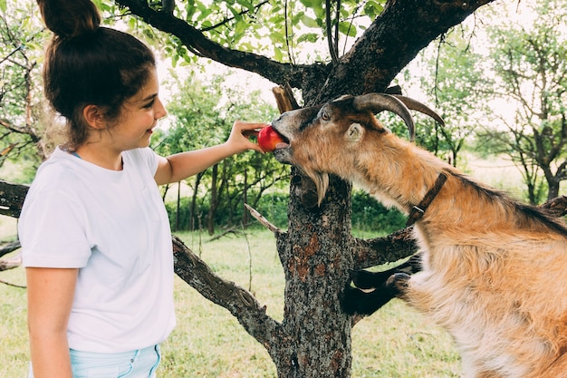 Foto gratuita concepto de granja con niña y cabra