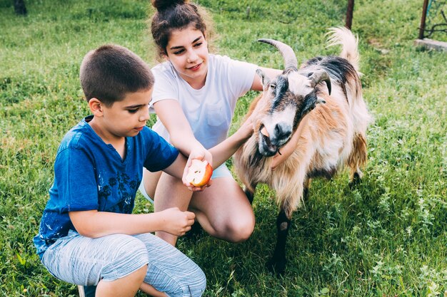 Concepto de granja con niños y cabra