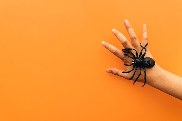 Concepto de halloween con araña en mano