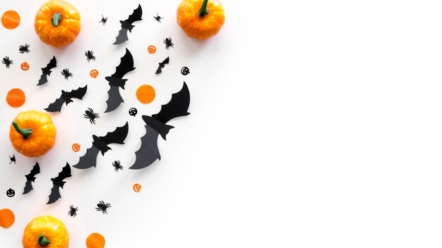 Concepto de halloween de vista superior con calabazas y murciélagos