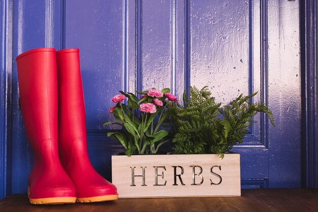 Concepto de jardinería con botas de agua rojas