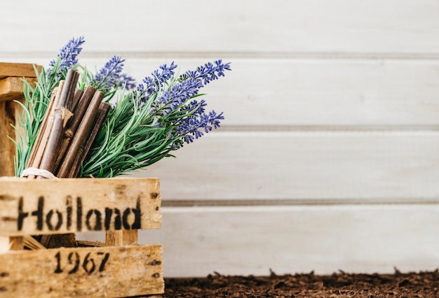 Concepto de jardinería con caja de madera y espacio