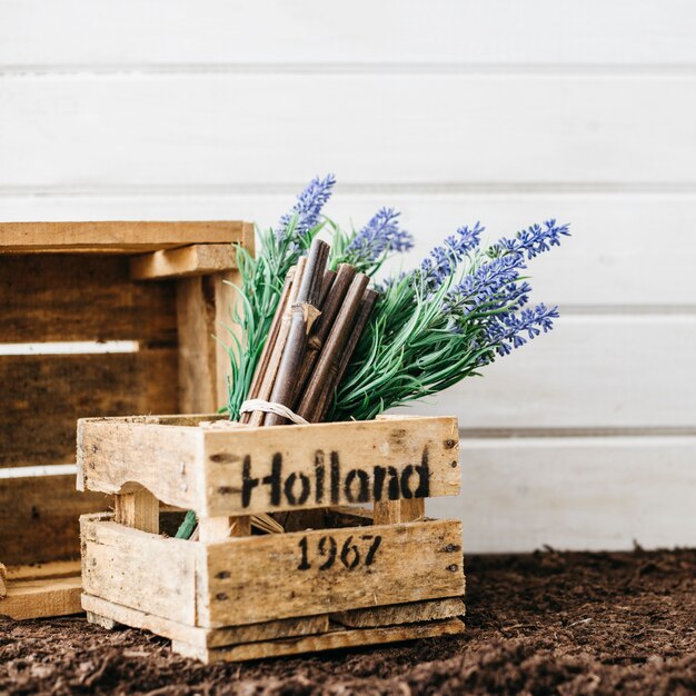 Concepto de jardinería con caja de madera