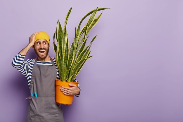 Concepto de jardinería doméstica. Un florista masculino positivo enfrenta problemas por demasiada luz solar directa