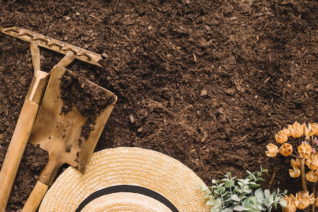 Concepto de jardinería con espacio arriba