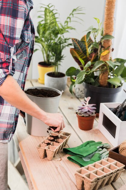 Concepto de jardinería con manos femeninas