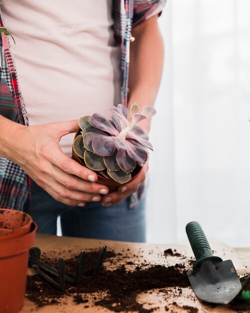 Concepto de jardinería con manos femeninas