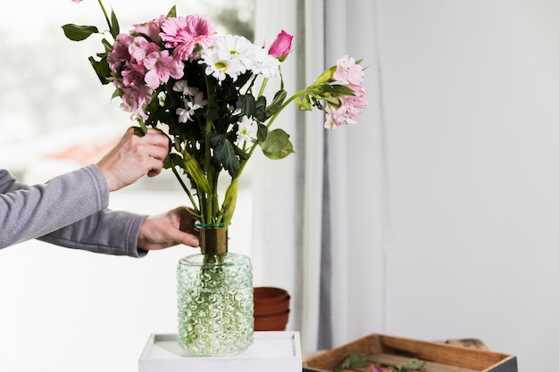 Concepto de jardinería con manos femeninas