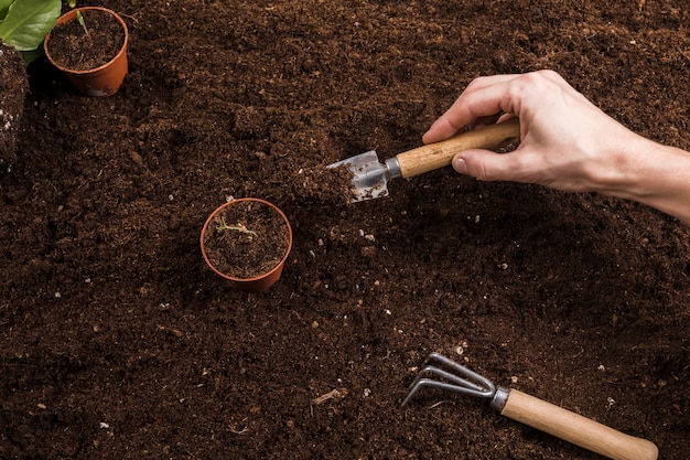 Concepto de jardinería con manos femeninas