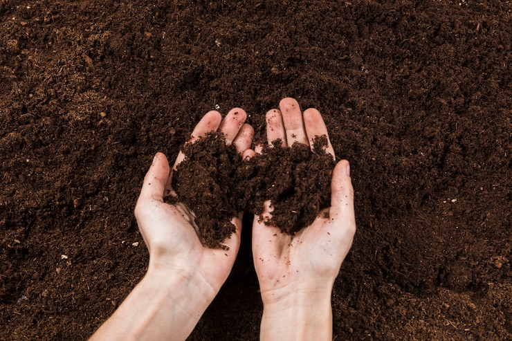 Foto gratuito concepto de jardinería con manos femeninas
