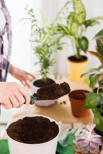 Concepto de jardinería con mujer