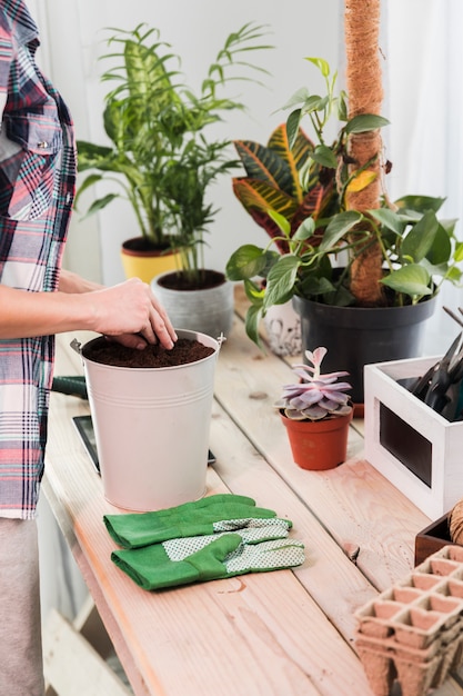 Concepto de jardinería con mujer