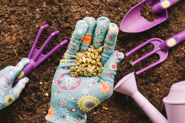 Concepto de jardinería con semillas en mano