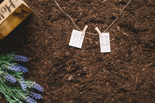 Foto gratuita concepto de jardinería con tags