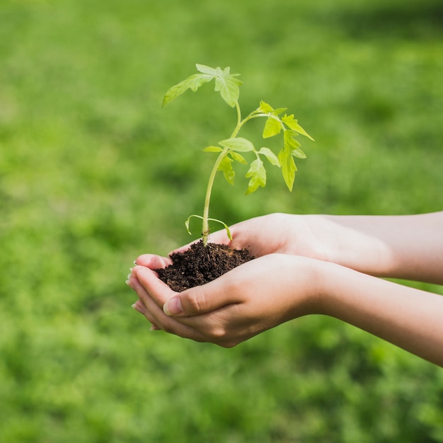 Concepto de medio ambiente y voluntarios