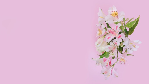 Foto gratuita concepto moderno de flores con estilo elegante