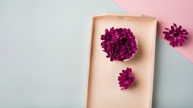 Concepto moderno de flores con estilo elegante