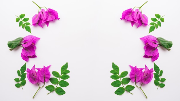 Concepto moderno de flores con estilo elegante